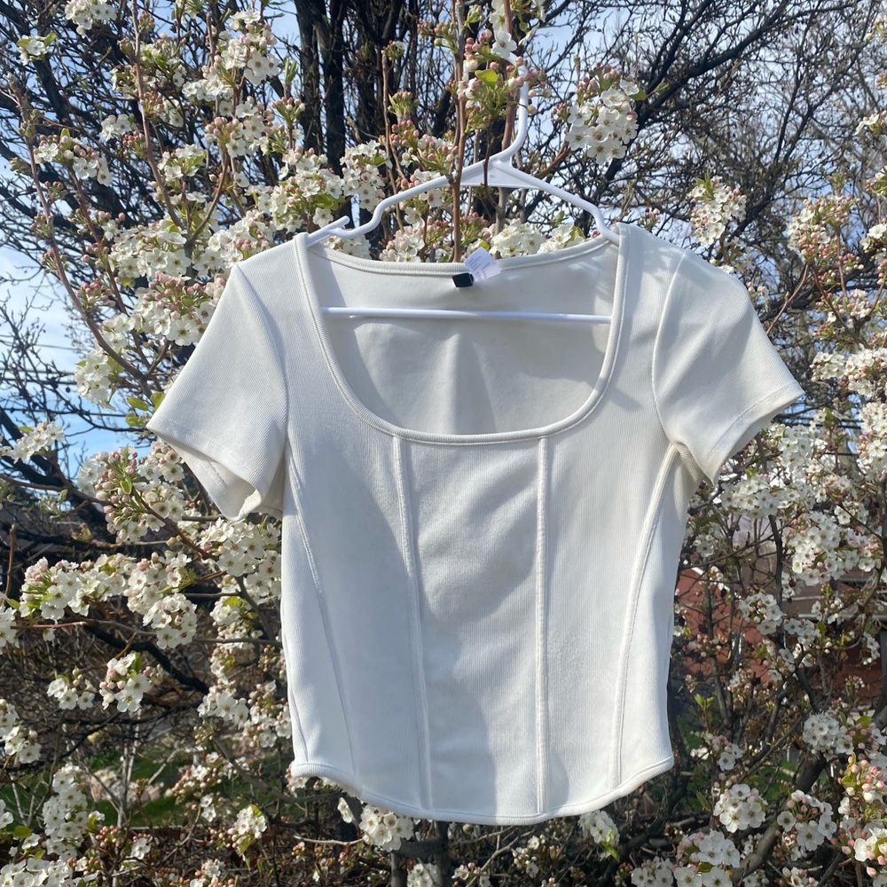 Fitted Short Sleeve Bustier Blouse